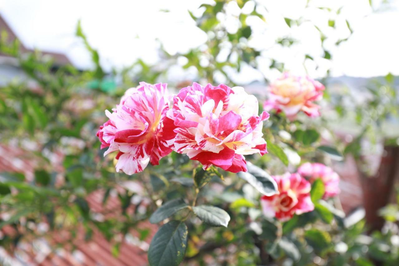 دالات Homestay Doc Tinh المظهر الخارجي الصورة
